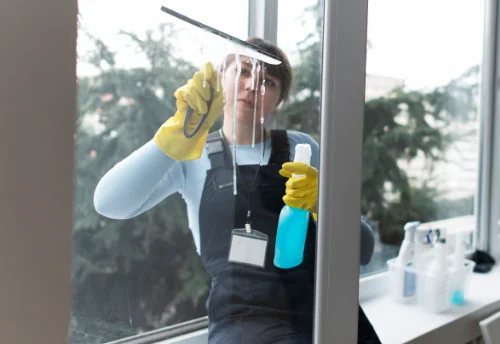 Nettoyage de vitres intérieures et extérieures à Laveyron
